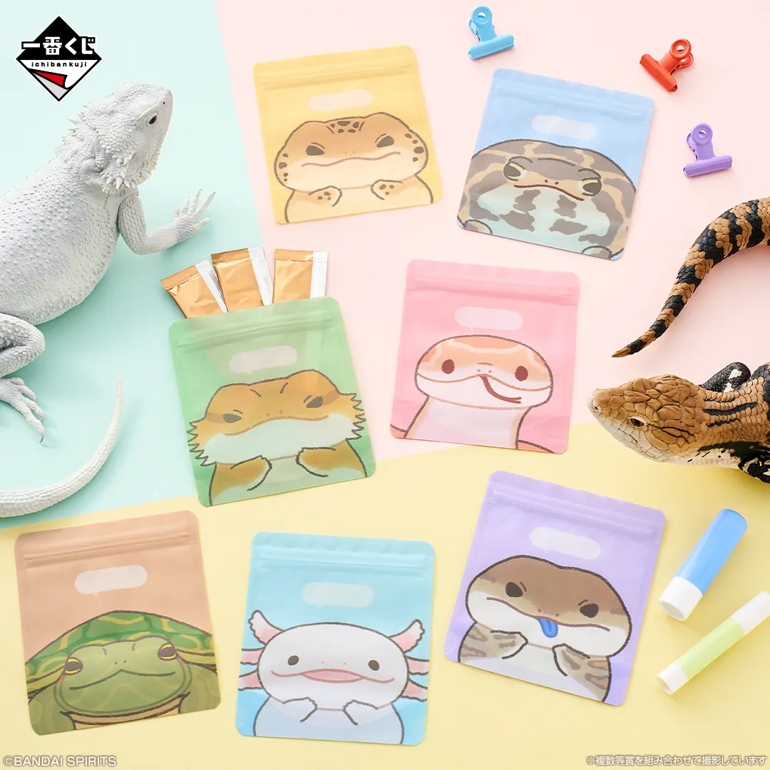 ©BANDAI SPIRITS ※複数等賞を組み合わせて撮影しています